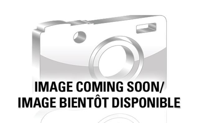      2010 Dodge Ram 1500 Crew Cab 4X2